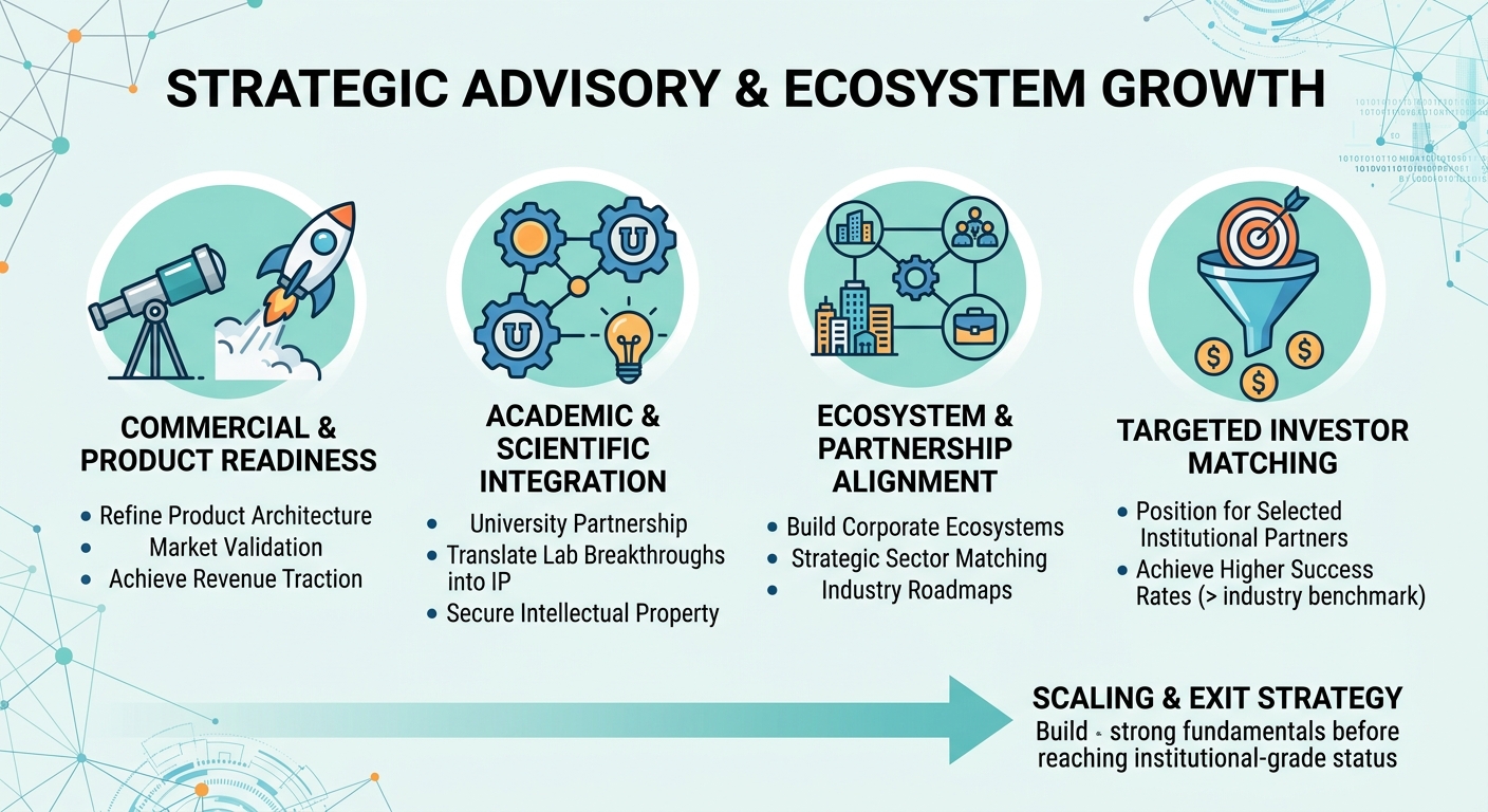 Strategic Advisory Beyond Traditional Venture Capital for Scale-Ups and Research Spin-Outs Malta